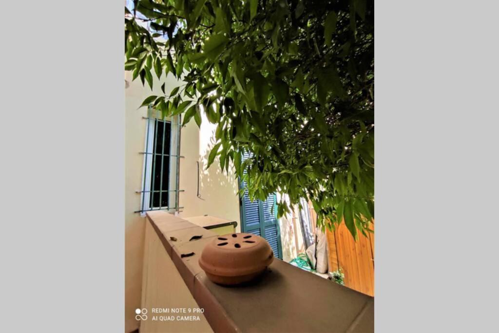 Home Careggi פירנצה מראה חיצוני תמונה